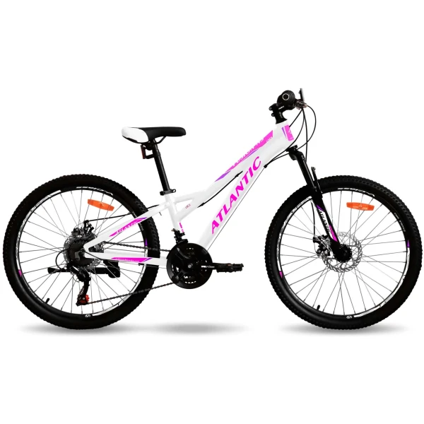 u_files_store_37_533[1]