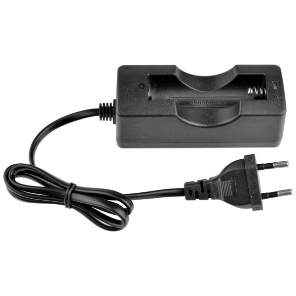 1420671995_zaryadnoe-prox-dc