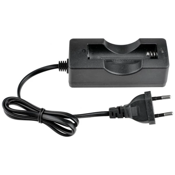 1420671995_zaryadnoe-prox-dc