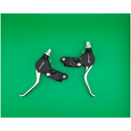 image_2025-03-28_12-59-29