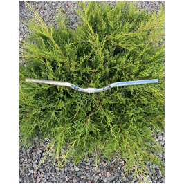 photo_2023-02-07_11-09-38