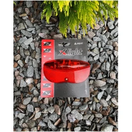 photo_2023-02-07_12-03-52