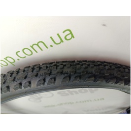 photo_2024-10-25_12-13-22