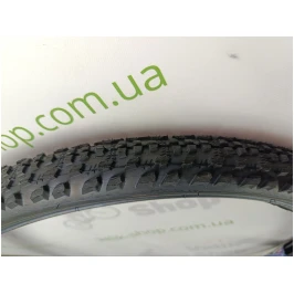 photo_2024-10-25_12-13-22