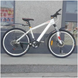 4068722266_krylya-velosipednye-dnb-018