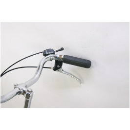 4077924771_velosiped-union-flamingo