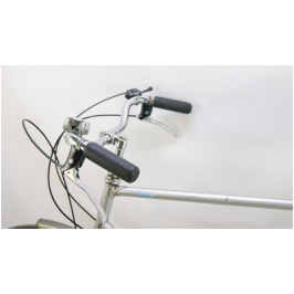 4077924772_velosiped-union-flamingo