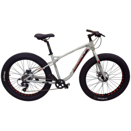 photo_2023-01-24_16-05-18