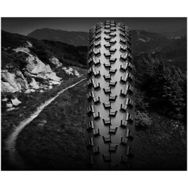 af2a54b6ea8a1712a1dc08071edafbc0