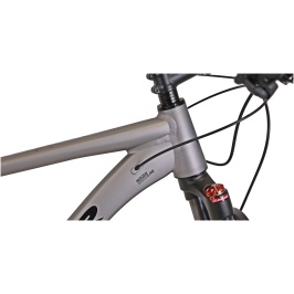 winner-solid-wrx-29-2024[1]