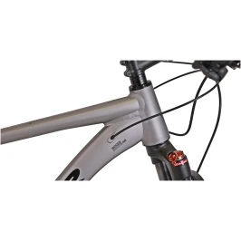 winner-solid-wrx-29-2024[1]