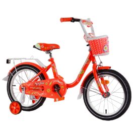 00000116210_s1[1]-PhotoRoom (2)