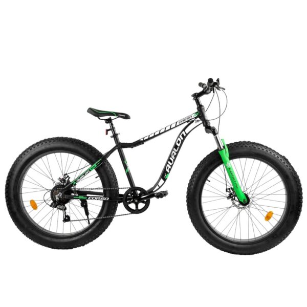 00000104725_s[1]-Photoroom