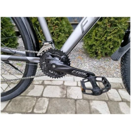 DeWatermark.ai_1708607991550