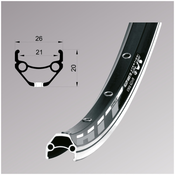 55930102024001000001