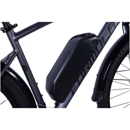 elb-fr-28-015-velosiped-s-elektroprivodom-28-al-formula-ecursor-man-am-rama-20-48v-125-ach-500vt-zadn.-serebristyij-(m)-s-kryilom-pl-2024-detali-2[1]