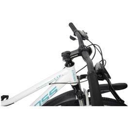 u_files_store_37_1869[1]