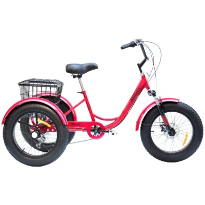 фото - Велосипед ARDIS 20 CHARGE 2024