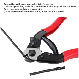 e97a428e-7269-11ef-866f-00116b311534_f923ed05-7269-11ef-866f-00116b311534