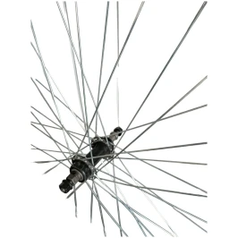 adeb7466-23f9-11ef-85b9-782bcba6cedd_bf87c58d-23fd-11ef-85b9-782bcba6cedd