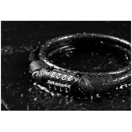 8aed1bd5-95f9-11ef-869f-00116b311534_d036b2cc-a0ca-11ef-86ad-00116b311534