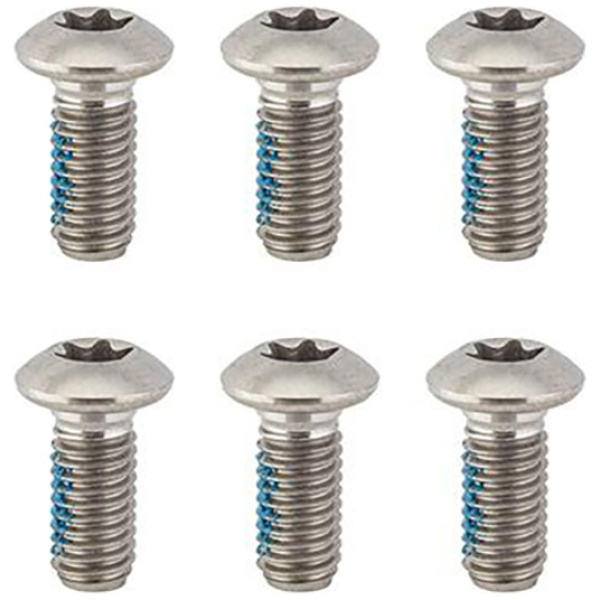 big_2-t25-ti-torx-rotor-bolts_34609_pic[1]