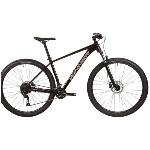 winner-solid-dx-29-2025[1]-Photoroom