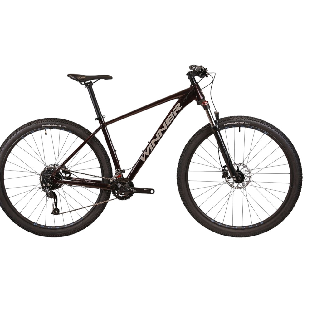 Велосипед Winner 29" SOLID-DX 2025
