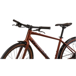 winner-traffic-2025[1]