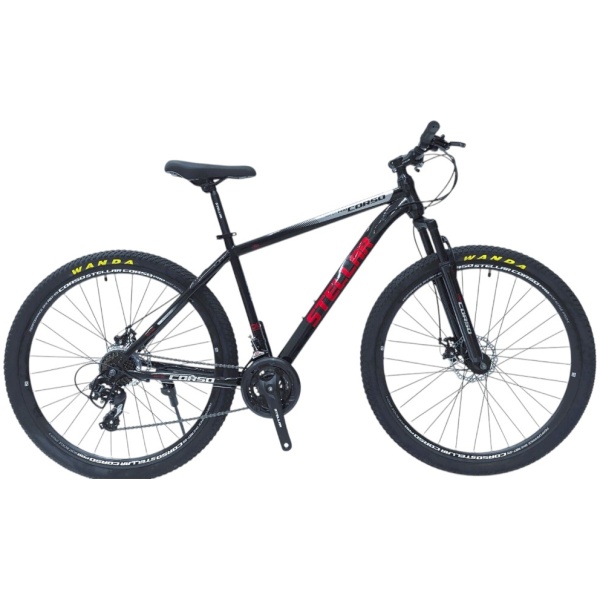 00000169781_s[1]-Photoroom