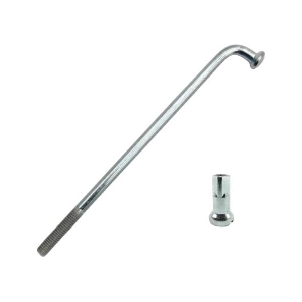 transparent-Photoroom (67)