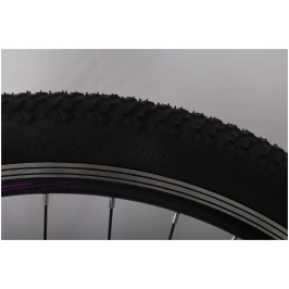 velosiped_Forte_Aurora_Women_Bicycle_mtv_2615_117812_goluboj_1_grn_5-1200x1200[1]