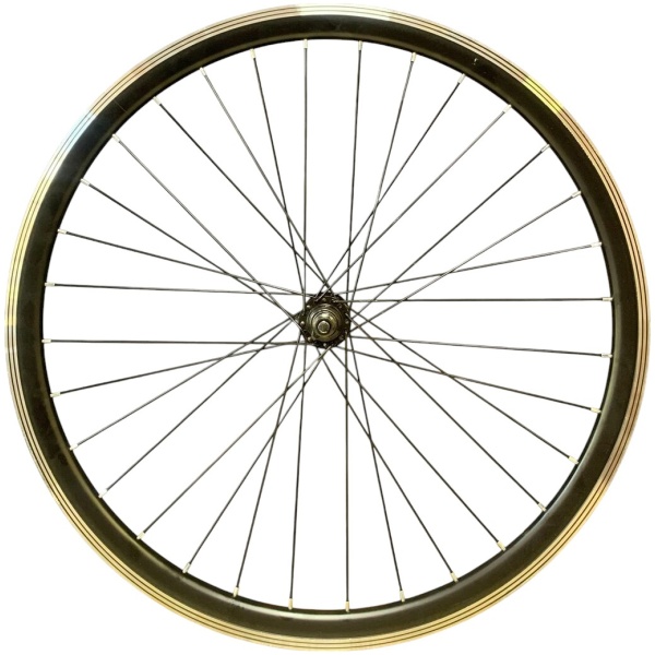 00000176735_s[1]-Photoroom