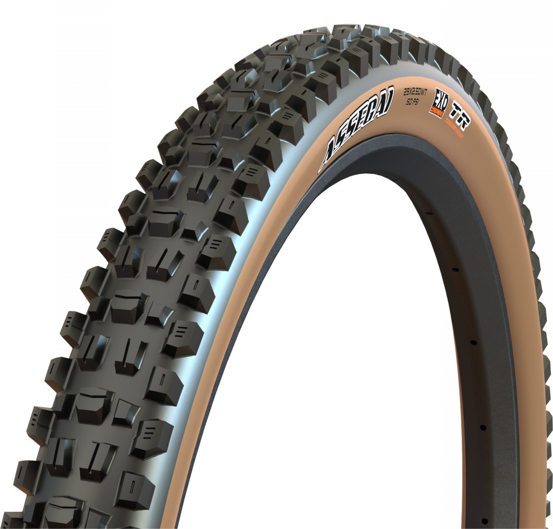 Фото Покришка MAXXIS ASSEGAI 29X2.50WT TPI-60 Foldable EXO/TR/TANWALL