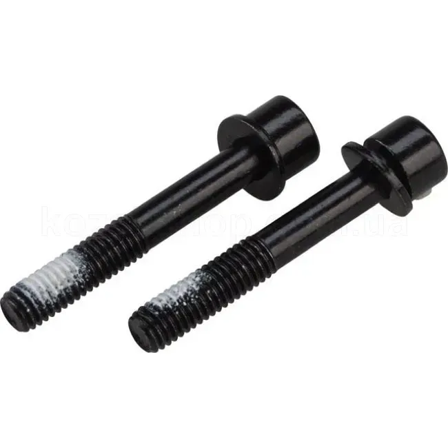 Фото Болті кріплення калипера TRP Flat Mount Mounting bolt 32мм, чорний