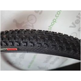 photo_2025-09-19_13-37-48