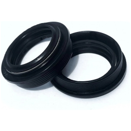 salnik-vilka-1200x800[1]