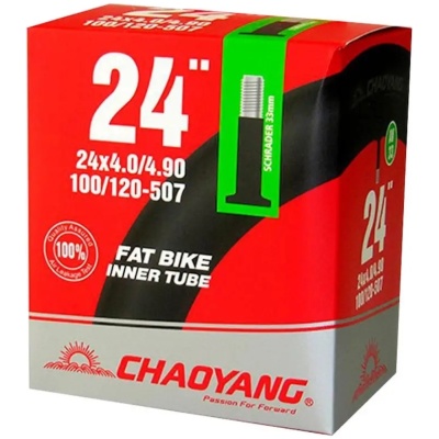 фото - Камера ChaoYang 24 x 4.00 / 4.90 AV 33 мм (24101)