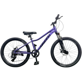 velosyped-24-griffin-nice-am-2026-fioletovyi-58277386691788[1]