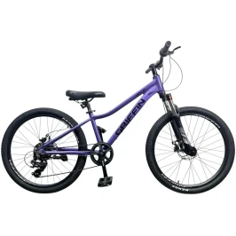 velosyped-24-griffin-nice-am-2026-fioletovyi-58277386691788[1]