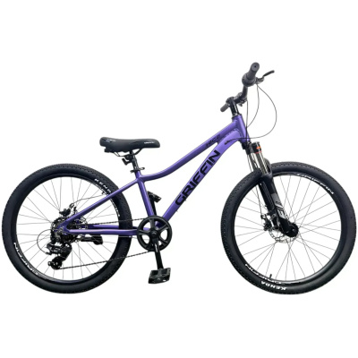 фото - Велосипед 24″ Griffin Nice AM (2026)