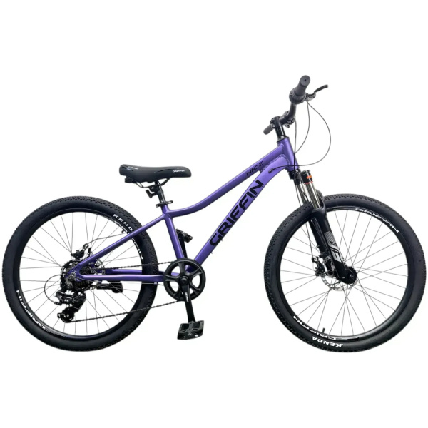 velosyped-24-griffin-nice-am-2026-fioletovyi-58277386691788[1]