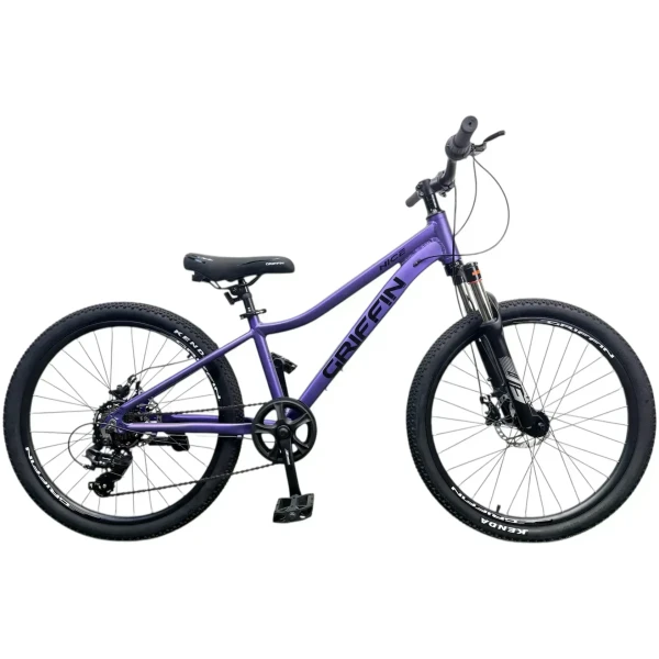 velosyped-24-griffin-nice-am-2026-fioletovyi-58277386691788[1]